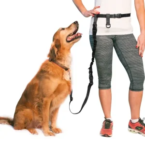 Adjustable Leash for Running, Jogging, Training and Service Dog
