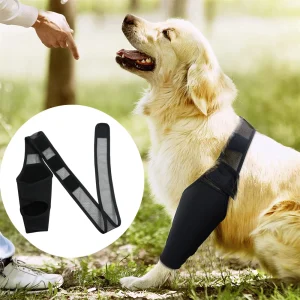 Pet  Knee Brace For Joint Pain Muscle Sore Leg