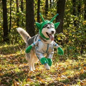 Pet Alien Transformation Outfit Colorful